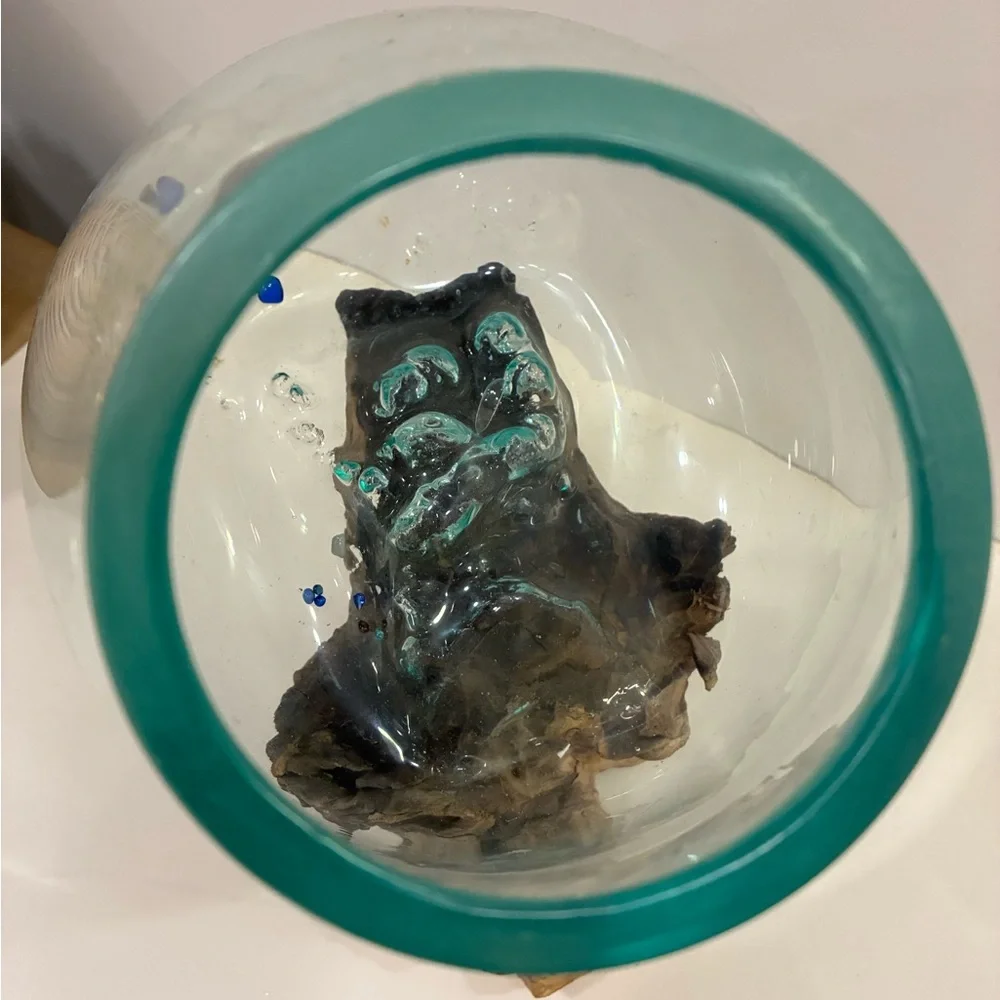 Atrium/Fishbowl Glass Teak Burl Wood Fishbowl/Airplant Display
Molten Glass - Picture 5 of 14